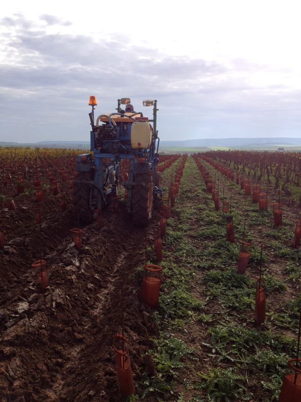 Les Origines - Champagne LACOURTE GODBILLON PREMIER CRU